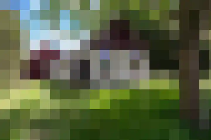 Weenderstraat 26 Vlagtwedde thumbnail 43