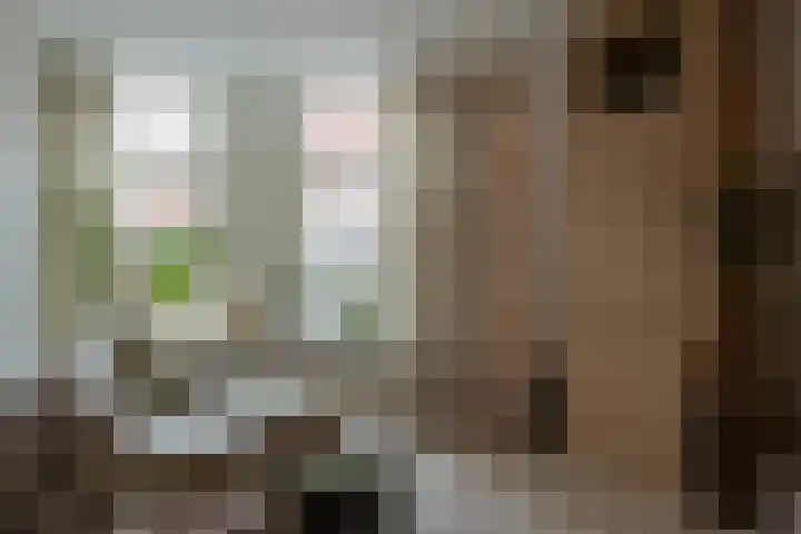Weeninkpad 12 Winterswijk thumbnail 10