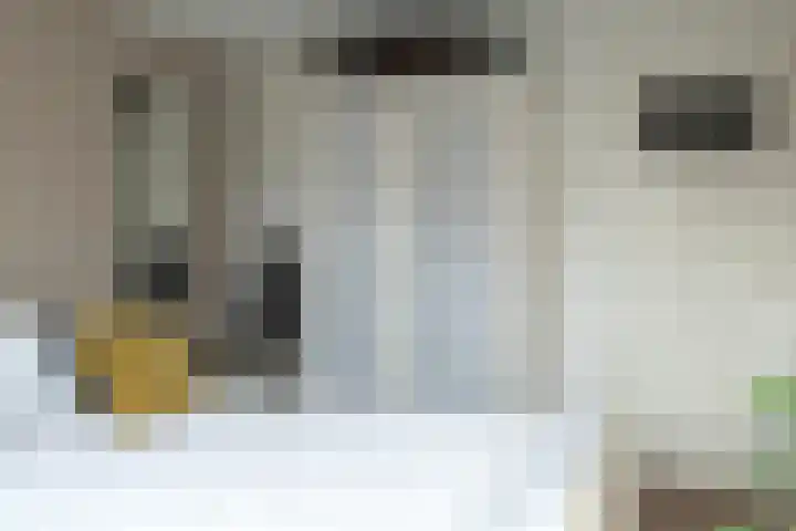 Weeninkpad 12 Winterswijk thumbnail 22