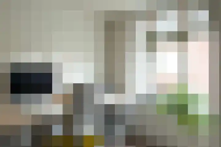 Weeninkpad 12 Winterswijk thumbnail 24