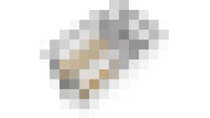 Weeninkpad 12 Winterswijk thumbnail 37