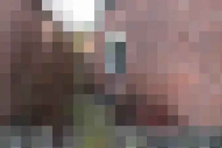 Weeninkpad 12 Winterswijk thumbnail 5