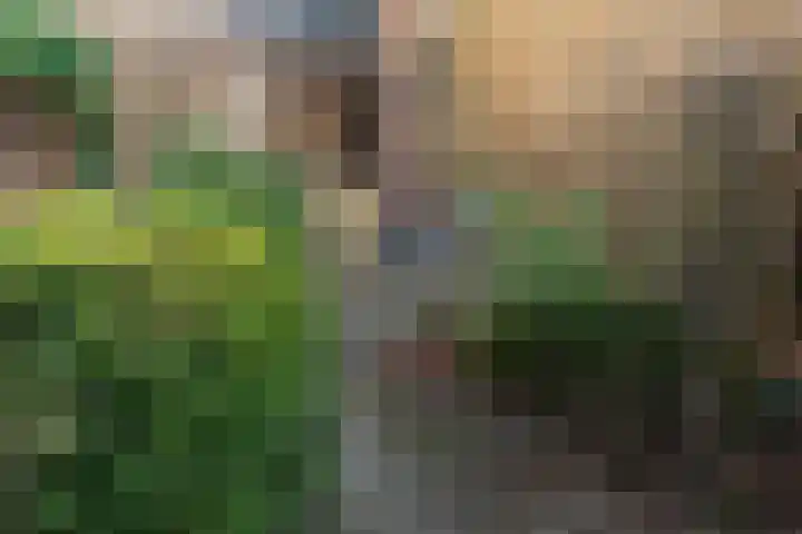 Weeninkpad 12 Winterswijk thumbnail 8