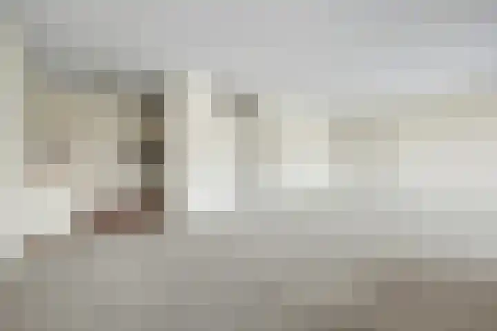 Weeninkpad 17 Winterswijk thumbnail 21