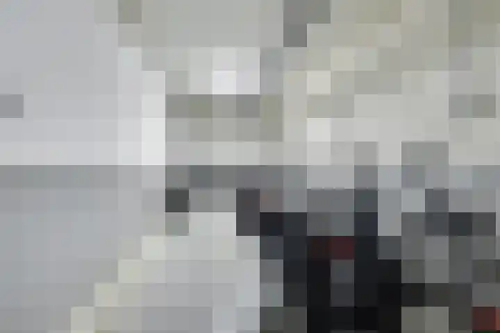 Weeninkpad 17 Winterswijk thumbnail 37