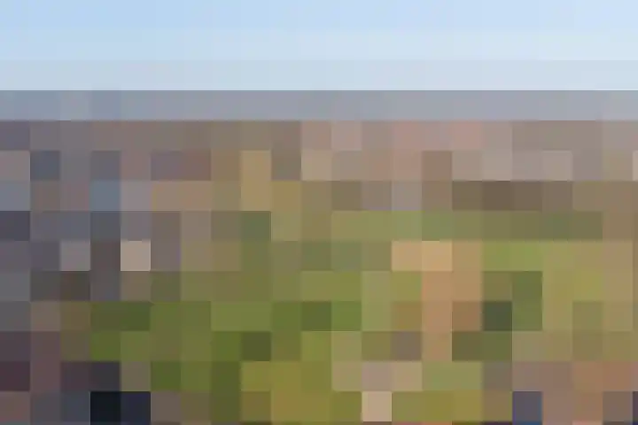 Weeninkpad 17 Winterswijk thumbnail 47