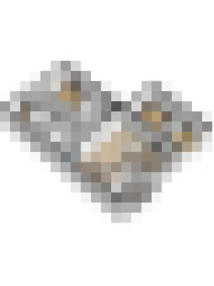 Weeninkpad 17 Winterswijk thumbnail 49