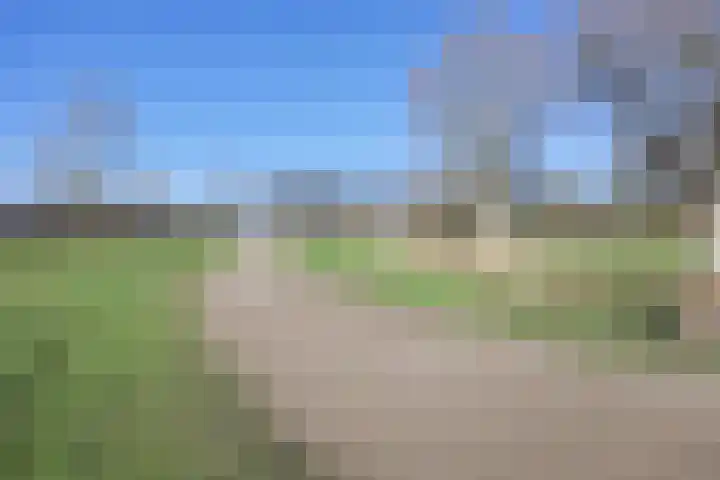 Weeninkpad 17 Winterswijk thumbnail 9