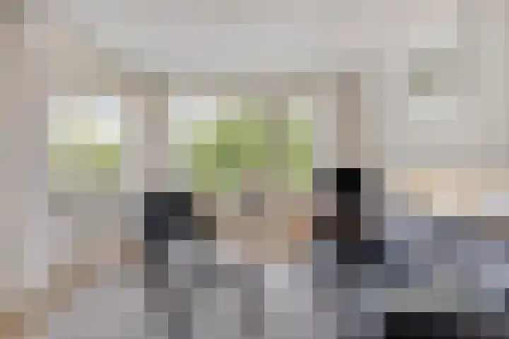 Weeninkpad 27 Winterswijk thumbnail 16