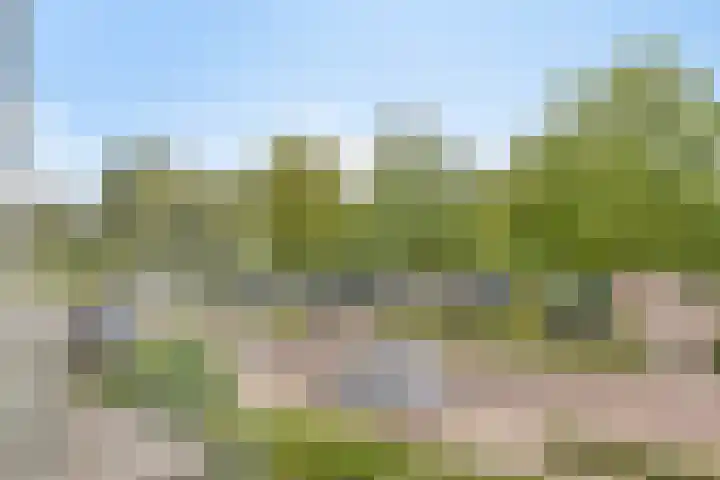 Weeninkpad 27 Winterswijk thumbnail 19