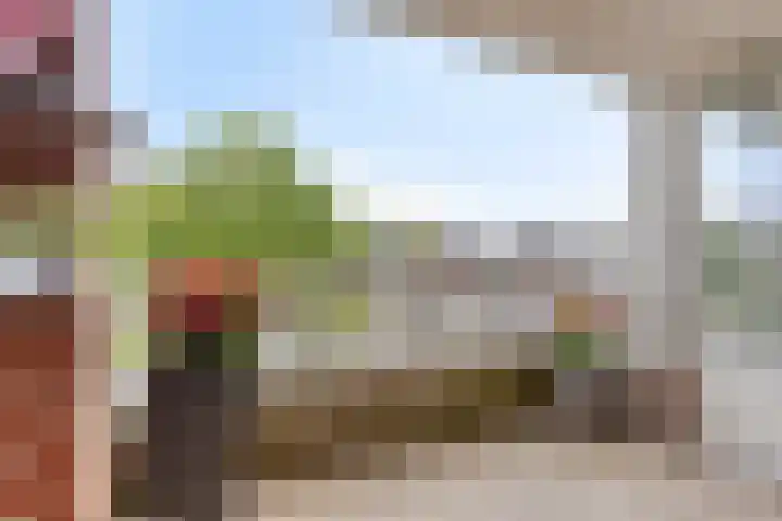 Weeninkpad 27 Winterswijk thumbnail 25