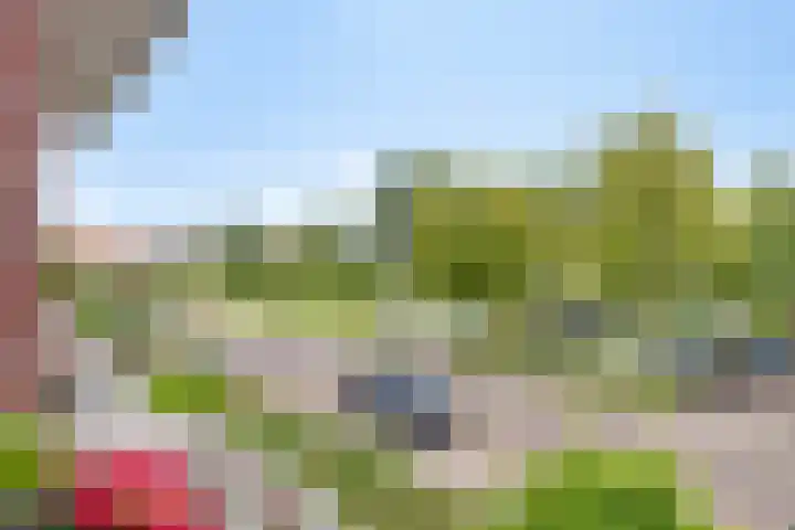 Weeninkpad 27 Winterswijk thumbnail 26