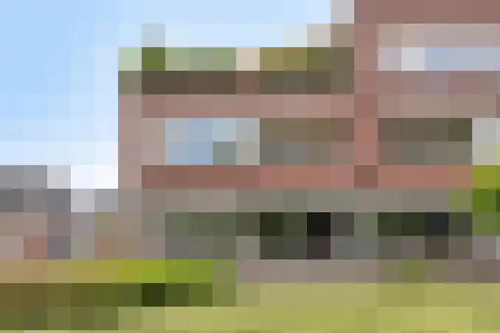 Weeninkpad 27 Winterswijk foto 3