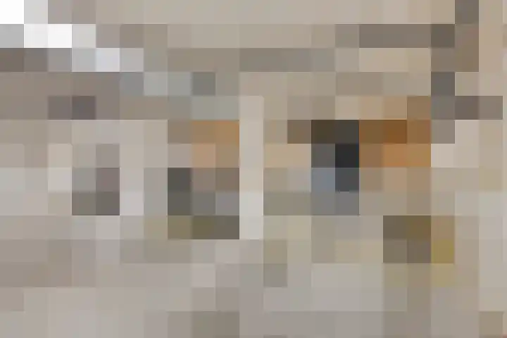 Weeninkpad 27 Winterswijk thumbnail 38
