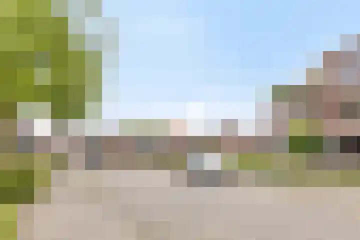 Weeninkpad 27 Winterswijk thumbnail 40