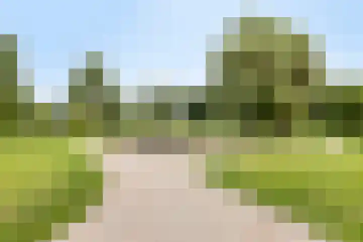 Weeninkpad 27 Winterswijk thumbnail 43