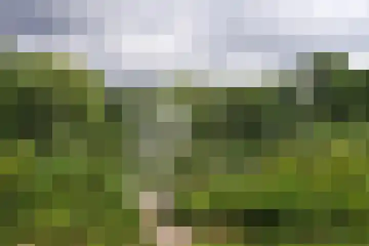 Weerdestein 171 Amsterdam thumbnail 32