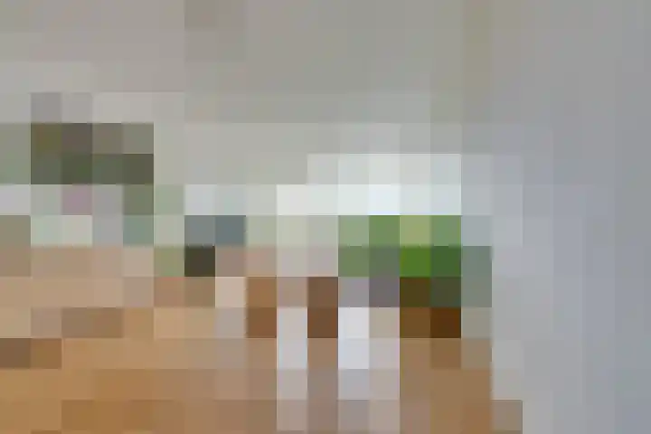 Weerdestein 41 Amsterdam thumbnail 10