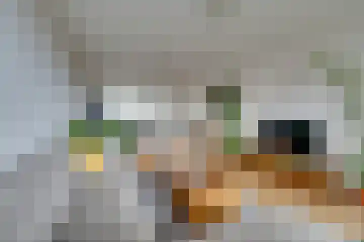 Weerdestein 41 Amsterdam thumbnail 12
