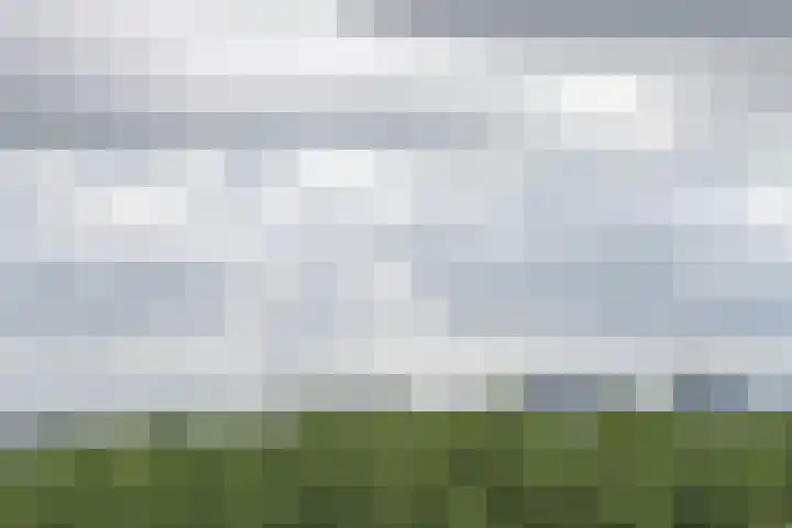 Weerdestein 41 Amsterdam thumbnail 23