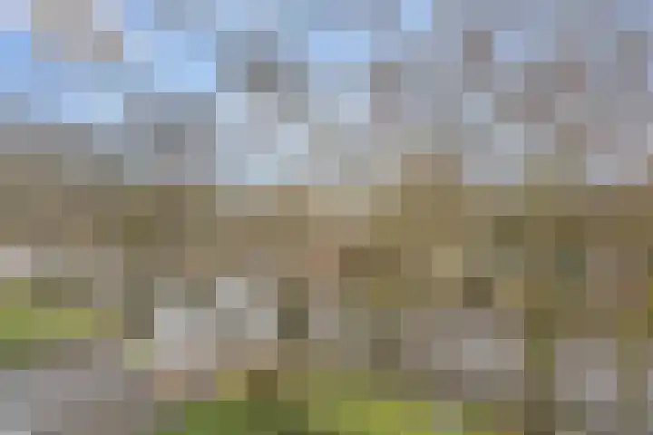 Weerdestein 61 Ede thumbnail 7