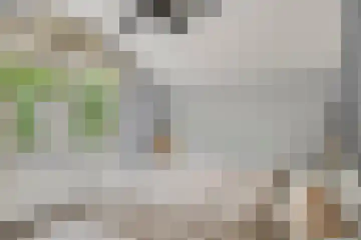 Weerdslag 52 Zutphen thumbnail 12