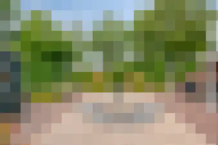 Weerdslag 52 Zutphen thumbnail 37