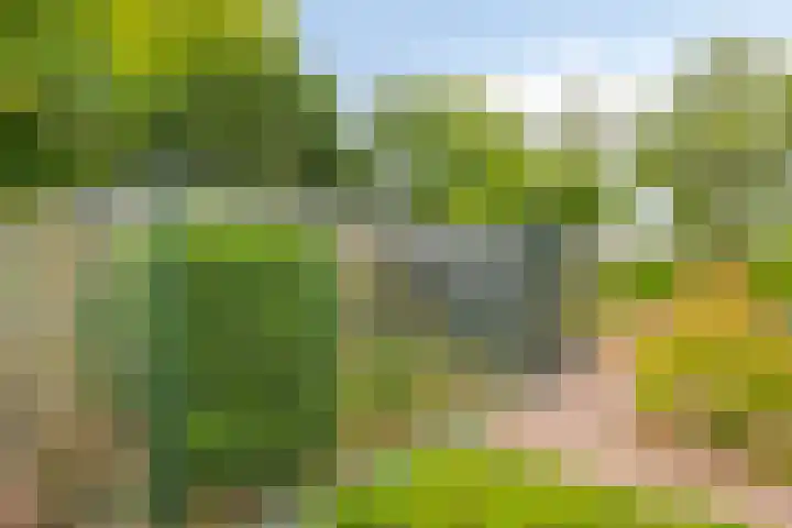 Weerdslag 52 Zutphen thumbnail 38