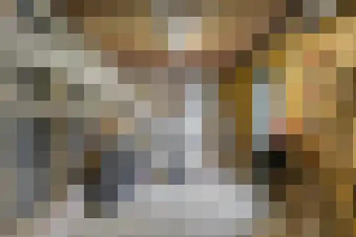 Weerdslag 52 Zutphen thumbnail 40