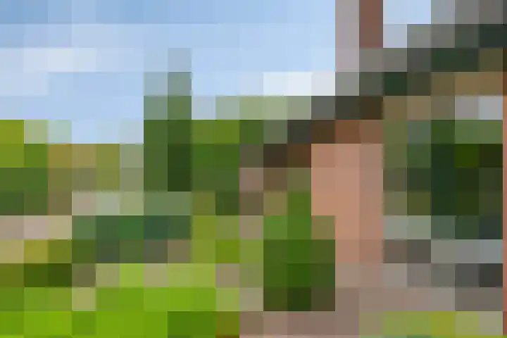 Weerdslag 52 Zutphen thumbnail 41