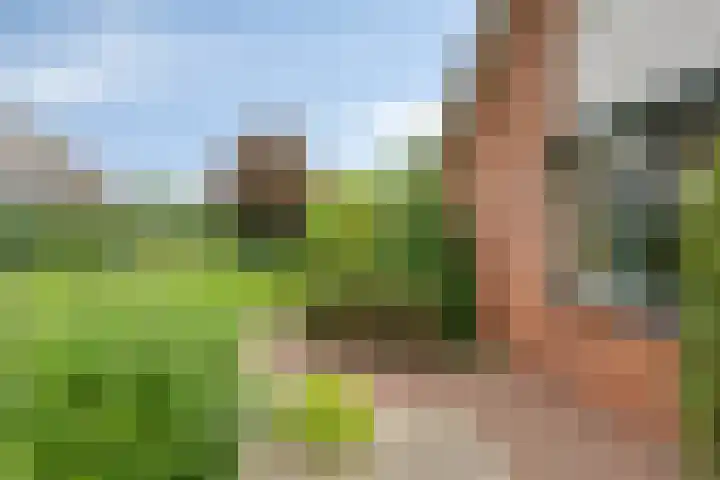 Weerdslag 52 Zutphen thumbnail 42