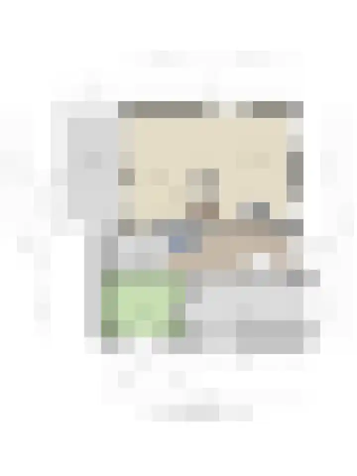 Weerdslag 52 Zutphen thumbnail 44
