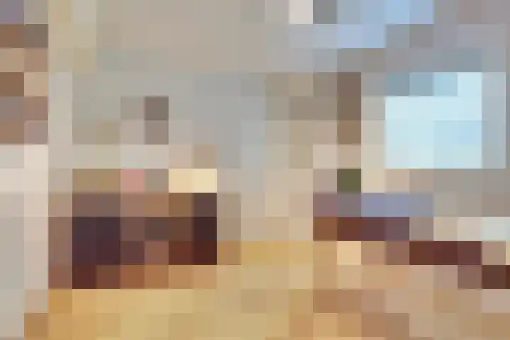 Weerdslag 64 Zutphen thumbnail 16