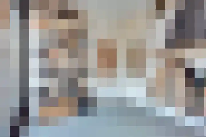 Weerdslag 64 Zutphen thumbnail 20