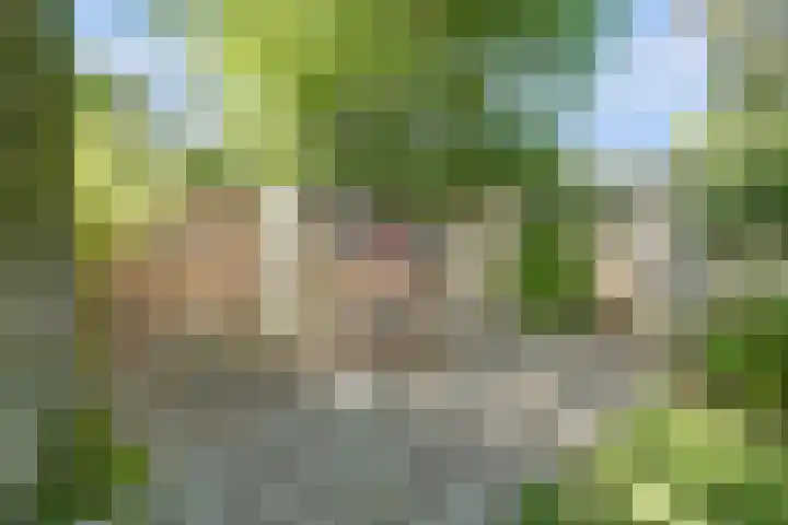 Weerdslag 64 Zutphen thumbnail 31