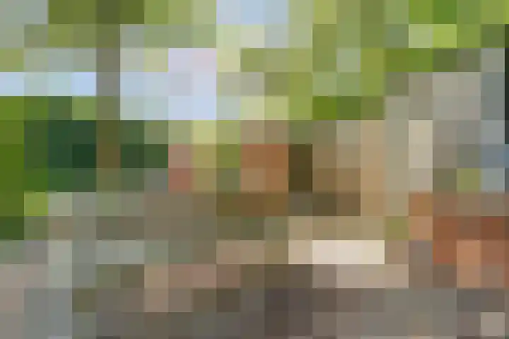 Weerdslag 64 Zutphen thumbnail 32