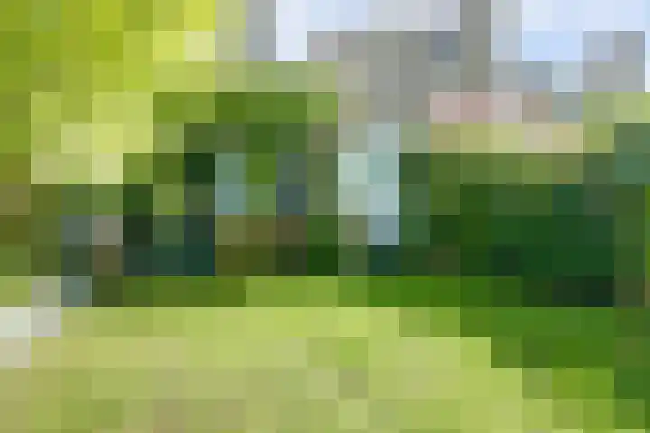 Weerdslag 64 Zutphen thumbnail 33