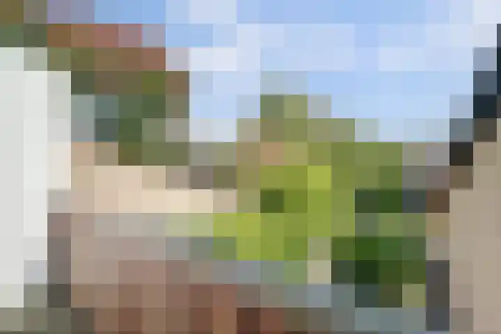Weerdslag 64 Zutphen thumbnail 36