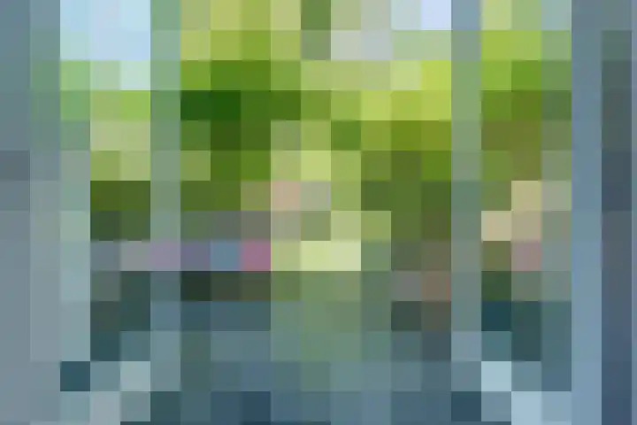 Weerdslag 64 Zutphen thumbnail 4