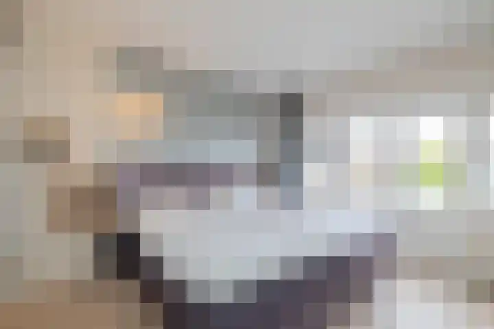 Weeresteinstraat 100 Hillegom thumbnail 37
