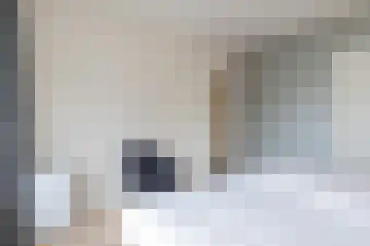 Weeresteinstraat 100 Hillegom thumbnail 38
