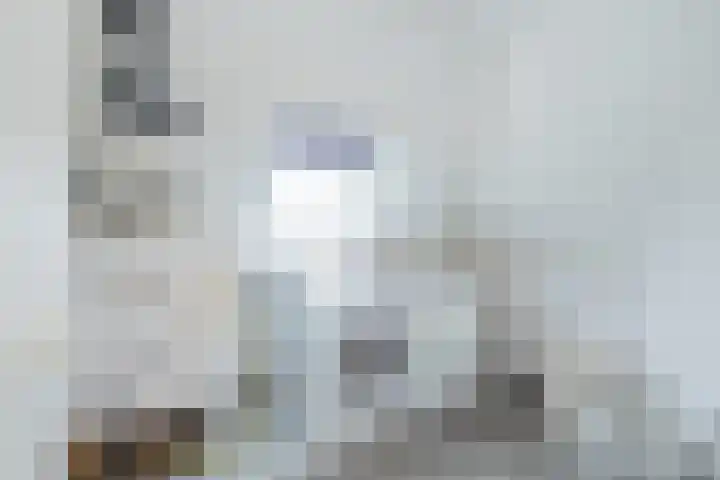 Weeresteinstraat 100 Hillegom thumbnail 57