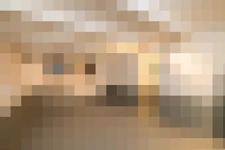 Weeresteinstraat 101 Hillegom thumbnail 10