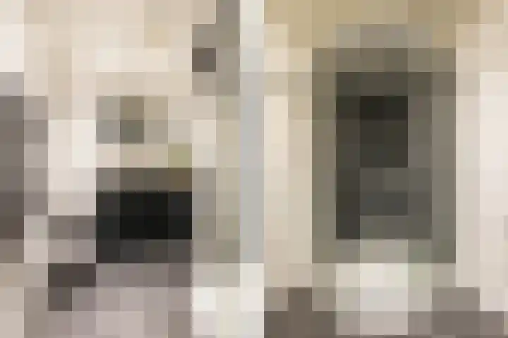 Weeresteinstraat 101 Hillegom thumbnail 18
