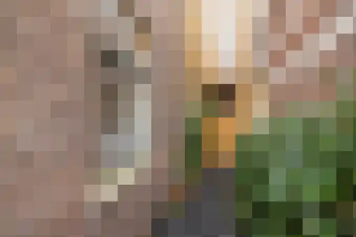 Weeresteinstraat 101 Hillegom thumbnail 20