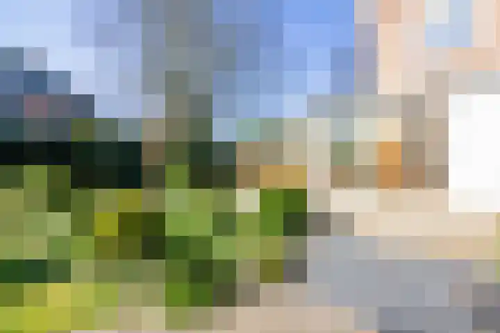 Weeresteinstraat 144 Hillegom thumbnail 19