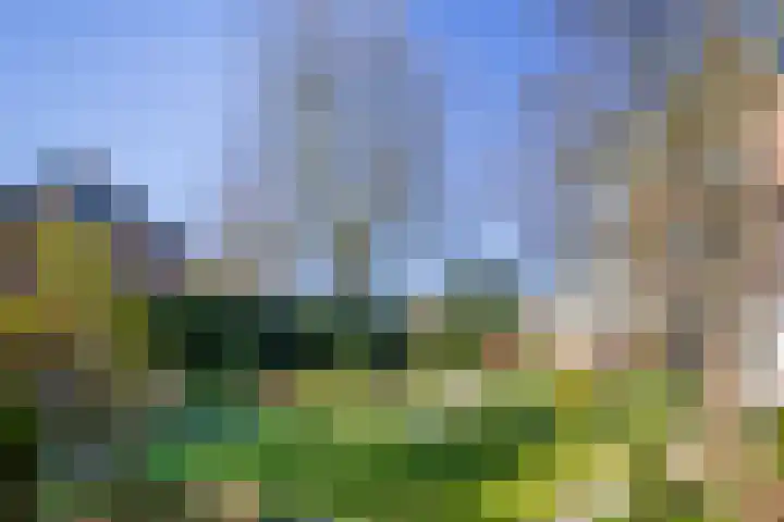 Weeresteinstraat 144 Hillegom thumbnail 23