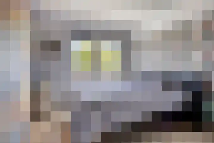 Weeresteinstraat 46 Hillegom thumbnail 15