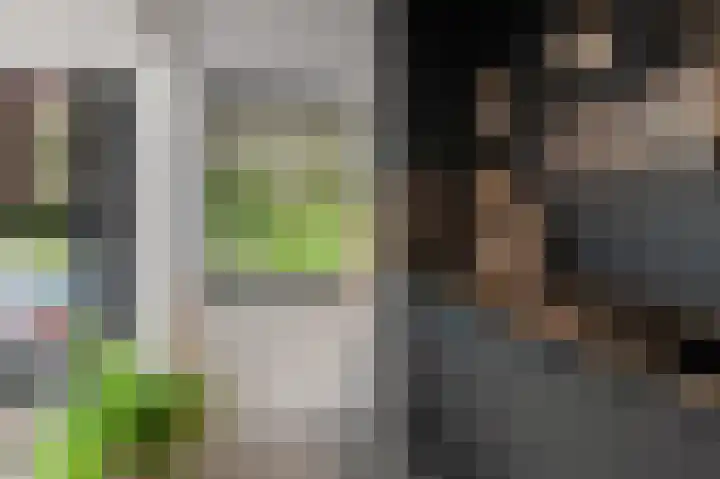 Weeresteinstraat 71 Hillegom thumbnail 11