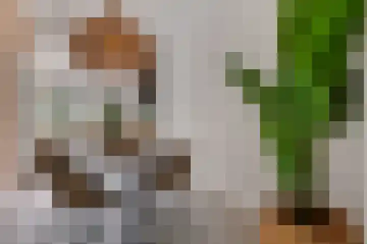 Weeresteinstraat 71 Hillegom thumbnail 14